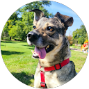 Kamil Ś. profile picture